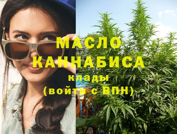 тгк Пересвет