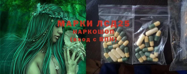 тгк Пересвет