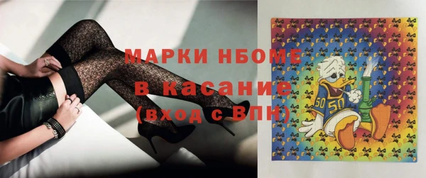 тгк Пересвет